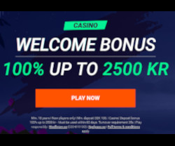 Casino bonus - 100% optil 1.000 kr Casino bonus - 100% optil 1.000 kr